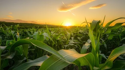 Влияние върху агропроизводителите