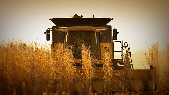 Банка ДСК на БАТА АГРО ДСК Агро от Банка ДСК