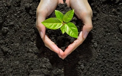 Изложение за селскостопански производители