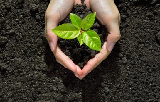 ДСК Агро от Банка ДСК