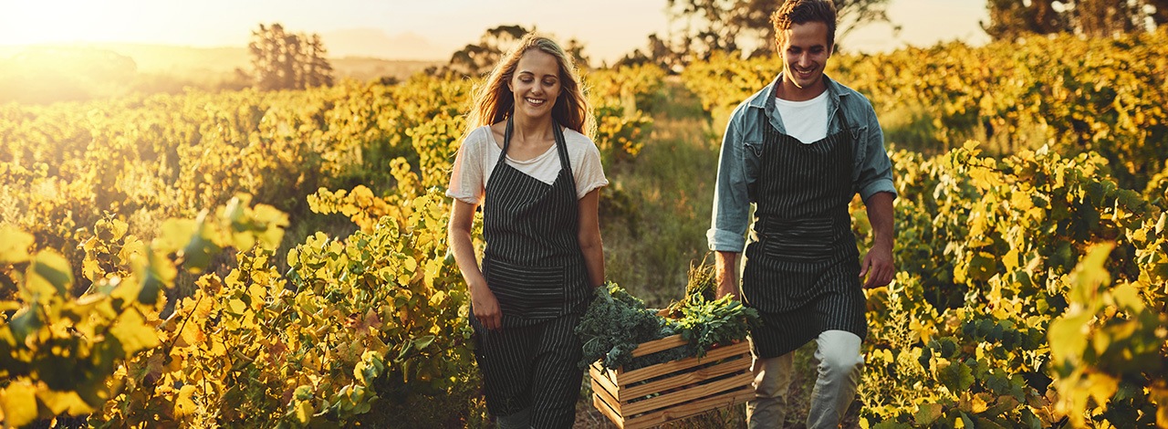 Loans  with Guarantees by the National Guarantee Fund