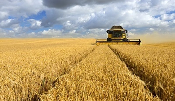 Анализ на селскостопанския сектор