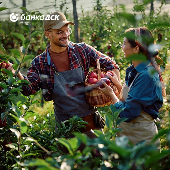 Дунавски овощари 2023