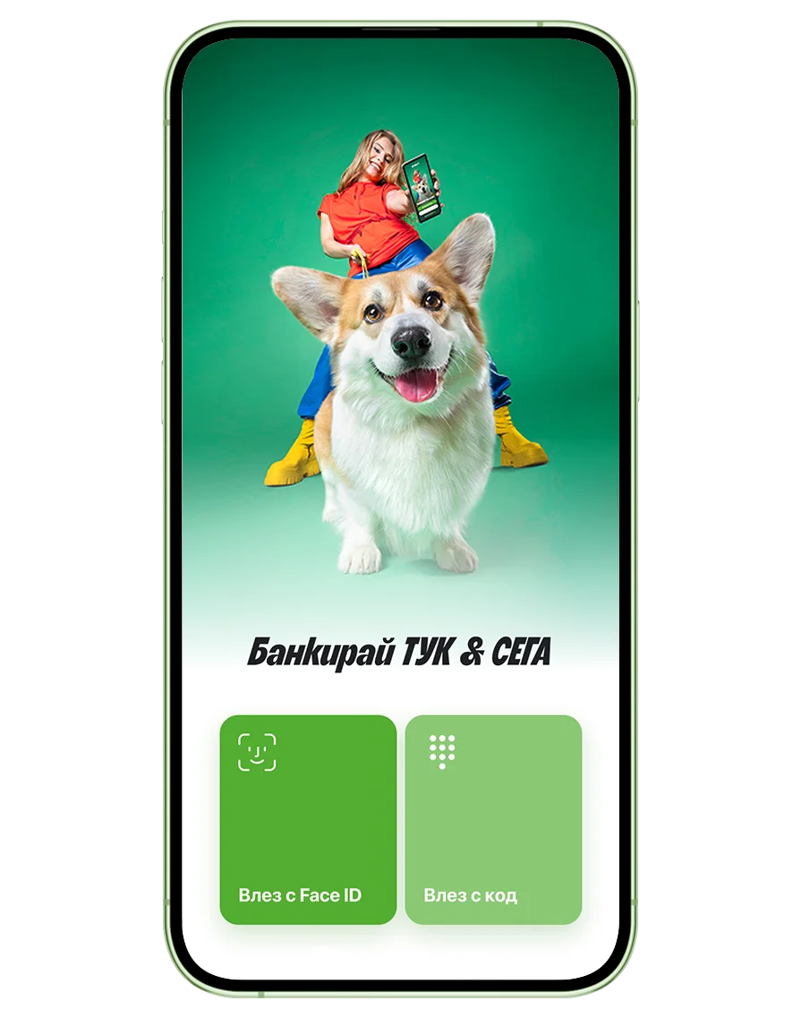 Стъпки за активиране на blink P2P 1