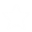 icon-star